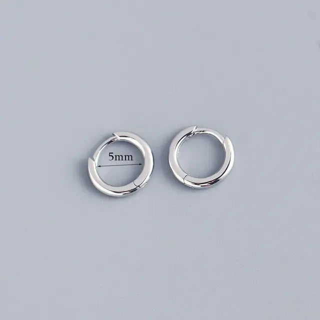 Stainless Steel Minimalist Huggie Hoop Earrings